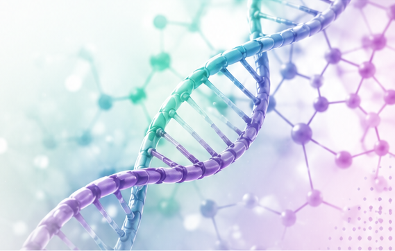 DNA double helix